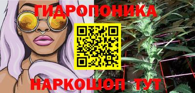 хмурый Краснодар