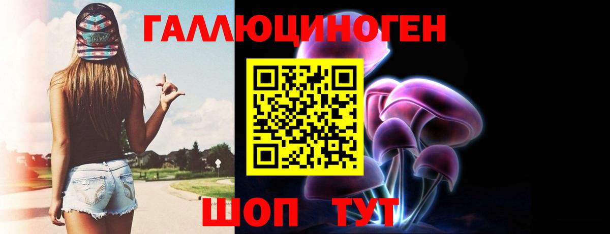 Псилоцибиновые грибы Cubensis Джанкой